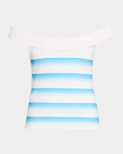 Herve Leger The Jessi Banded Ombre Top In White