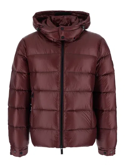 Hèskimo Heskimo Men's Short Down Jacket With Synthetic Padding And High Collar In Bordeaux