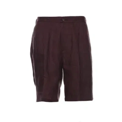 Hevo Shorts For Man Torre Lapillo F10 1015 In Brown