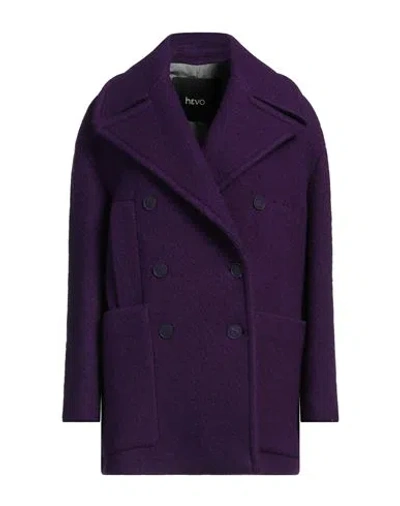 Hevo Hevò Woman Coat Dark Purple Size 4 Virgin Wool, Polyamide