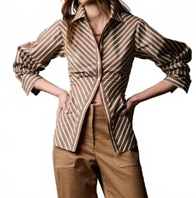 Hevron Drexel Stripe Shirt In Copper Stripe In Brown