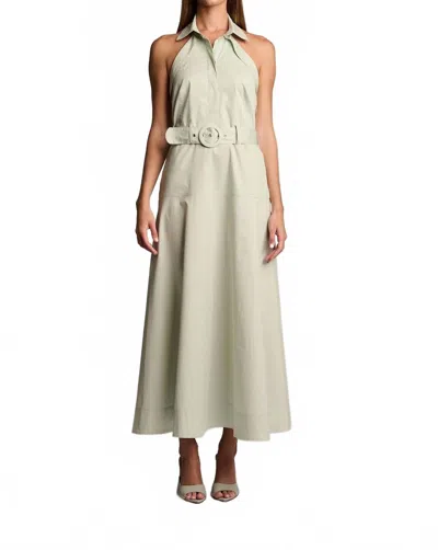 Hevron Eloise Dress In Pistachio In Neutral