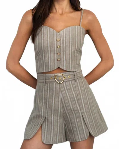 Hevron Grace Top In Tawny Stripe In Multi