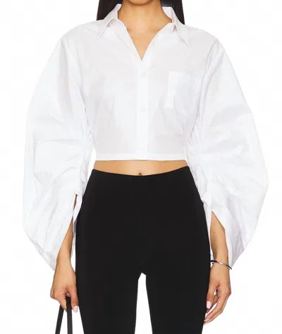 Hevron Raquel Top In White