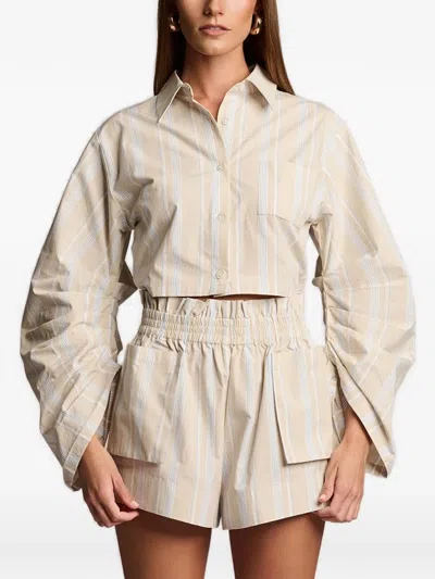 Hevron Striped Cropped Shirt In Neutral