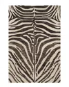Hewson Masai Hooked Rug