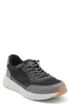 Hey Dude Sirocco Alta Sneaker In Multi
