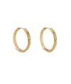 Hey Harper Daphne Earrings In Gold
