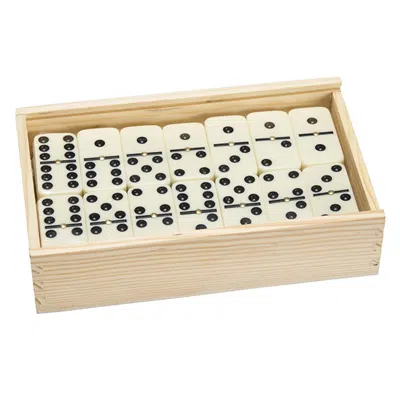 Hey Play Double Six Dominoes With Wood Case Black & White - Set Of 55
