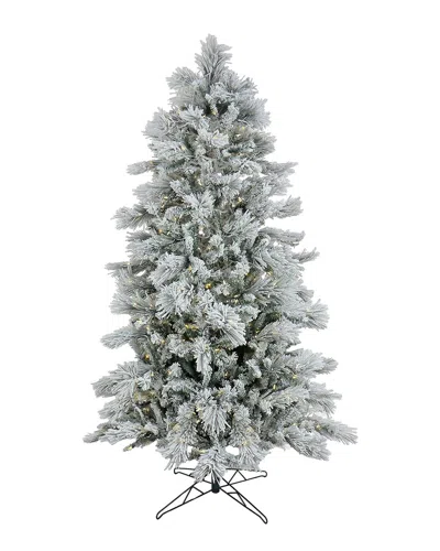 Hgtv National Tree Company  7.5ft Slim Flocked Bavarian Pine Tree With Led  Lights In Green