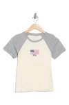 Hi Res American Flag Embroidered Short Sleeve Cotton Baseball T-shirt