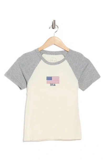 Hi Res American Flag Embroidered Short Sleeve Cotton Baseball T-shirt