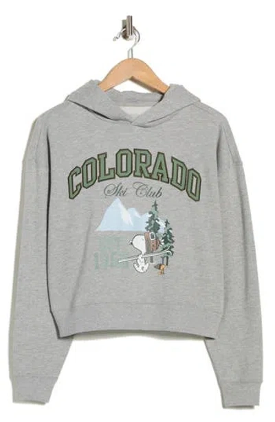 Hi Res X Peanuts Colorado Ski Club Graphic Hoodie In Gray