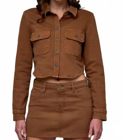 Hidden Abbey Tapered Button Up Shirt In Brown In Multi