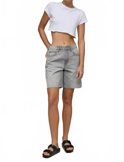 Hidden Alyx Shorts In Light Grey In Gray