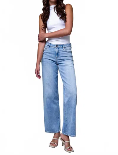 Hidden Logan Low Rise Dad Jeans In Light Wash In Blue