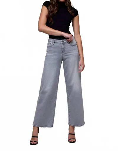Hidden Nori Mid Rise Wide Leg Jeans In Light Grey In Gray