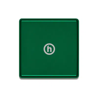Pre-owned Hidden Ny H Logo Serving Tray In Green