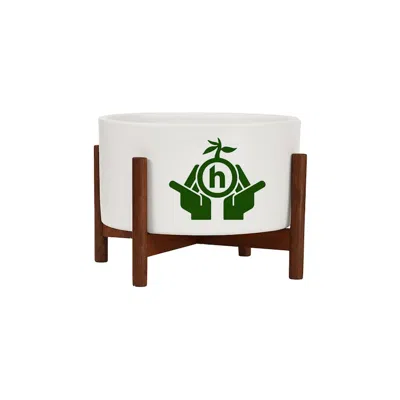 Pre-owned Hidden Ny Men's  X Modernica Table Top Planter In White