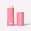 Hidden Vegan Lip Balm - Unscented