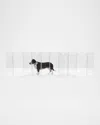 Hiddin Clear 10-panel Low Zig Zag Pet Gate In Clear