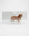 Hiddin Clear Panel Low Zig Zag Pet Gate In Clear