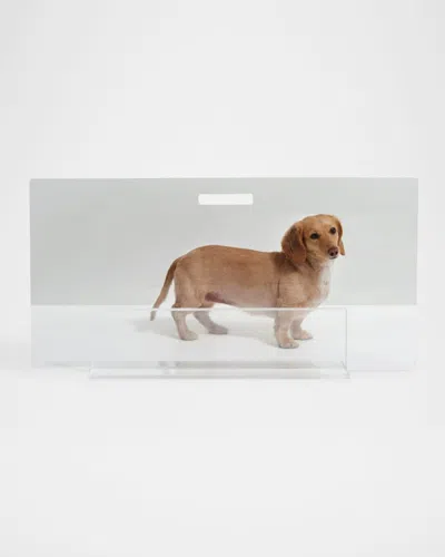Hiddin Clear Panel Low Zig Zag Pet Gate