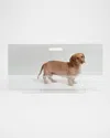 Hiddin Clear Panel Low Zig Zag Pet Gate In Clear