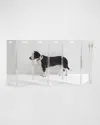 Hiddin Clear Wall-mounted Zig-zag Pet Gate, 6-panel In Clear/silver