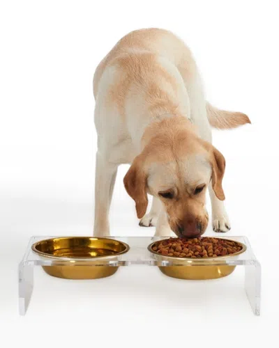 Hiddin Large Clear Double Pet Bowl Feeder With 1 Quart Gold Bowls