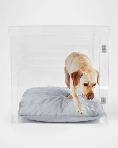 Hiddin Large Clear View Pet Crate With Silver Latch In Transparent