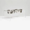 Hiddin Medium Clear Elevated Feeder With Silver Bowls In Silver
