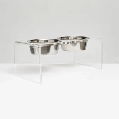 Hiddin Medium Clear Elevated Feeder With Silver Bowls
