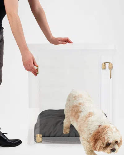 Hiddin Medium Clear View Pet Crate With Golden Latch In Gray