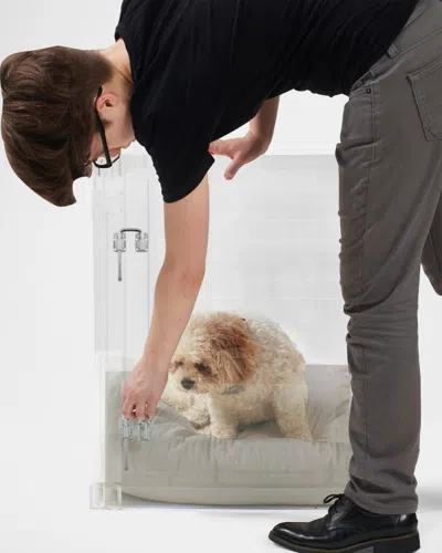 Hiddin Medium Clear View Pet Crate With Silver Latch In Brown