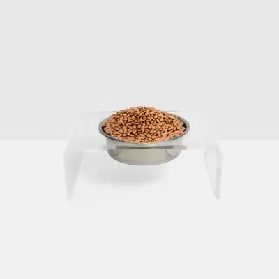Hiddin Single Bowl Elevated Feeder With Bowl In Silver,clear