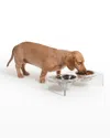 Hiddin Small Clear Double Pet Bowl Feeder In Clear/silver