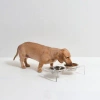 Hiddin Small Clear Elevated Feeder With Silver Bowls In Silver