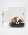 Hiddin Small Clear View Pet Crate With Golden Latches In Gray