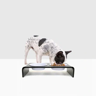 Hiddin Small Smoke Grey Double Bowl Elevated Pet Feeder In White