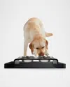 Hiddin Smoke Grey Overflow Feeder Tray, Large In Smoke Grey