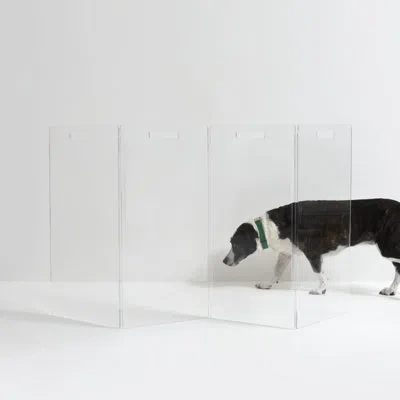 Hiddin Tall Zig Zag Clear Pet Gate