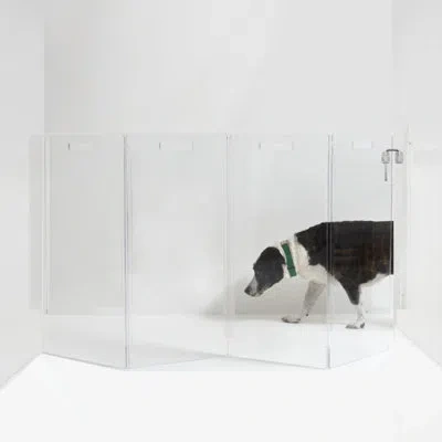 Hiddin Tall Zig Zag Wall Mounted Clear Pet Gate In Silver