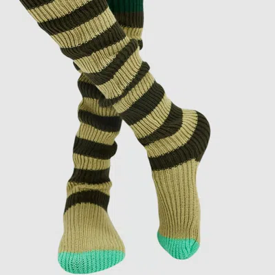 High Heel Jungle By Kathryn Eisman Women's Candy Thigh High Sock - Green