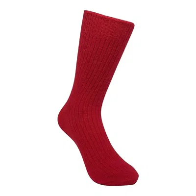High Heel Jungle By Kathryn Eisman Women's Cashmere Socks - Wine Red