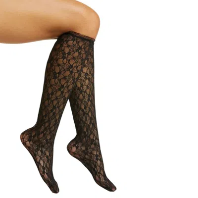 High Heel Jungle By Kathryn Eisman Women's Lace Knee High Socks - Black