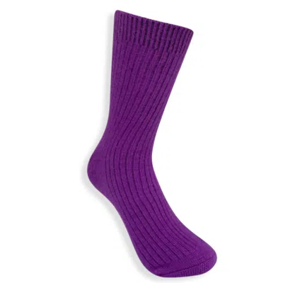 High Heel Jungle By Kathryn Eisman Women's Pink / Purple Cashmere Sock - Purple In Pink/purple