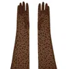 High Heel Jungle By Kathryn Eisman Women's Queen Leopard Print Sheer Mesh Opera Length Glove Brown