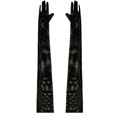 High Heel Jungle By Kathryn Eisman Women's The Lily Sheer Black Opera Glove