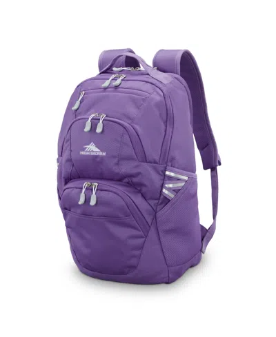 High Sierra Swoop Sg Backpack In Purple